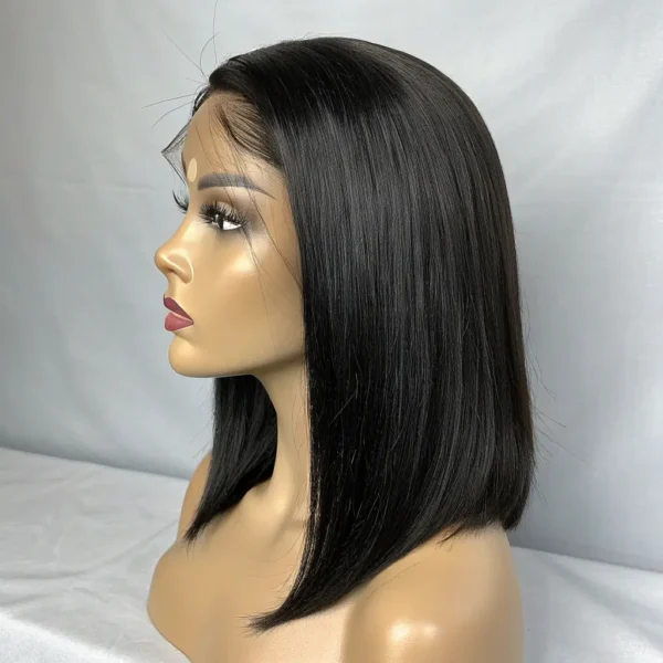 Silky Straight Human Hair Wig